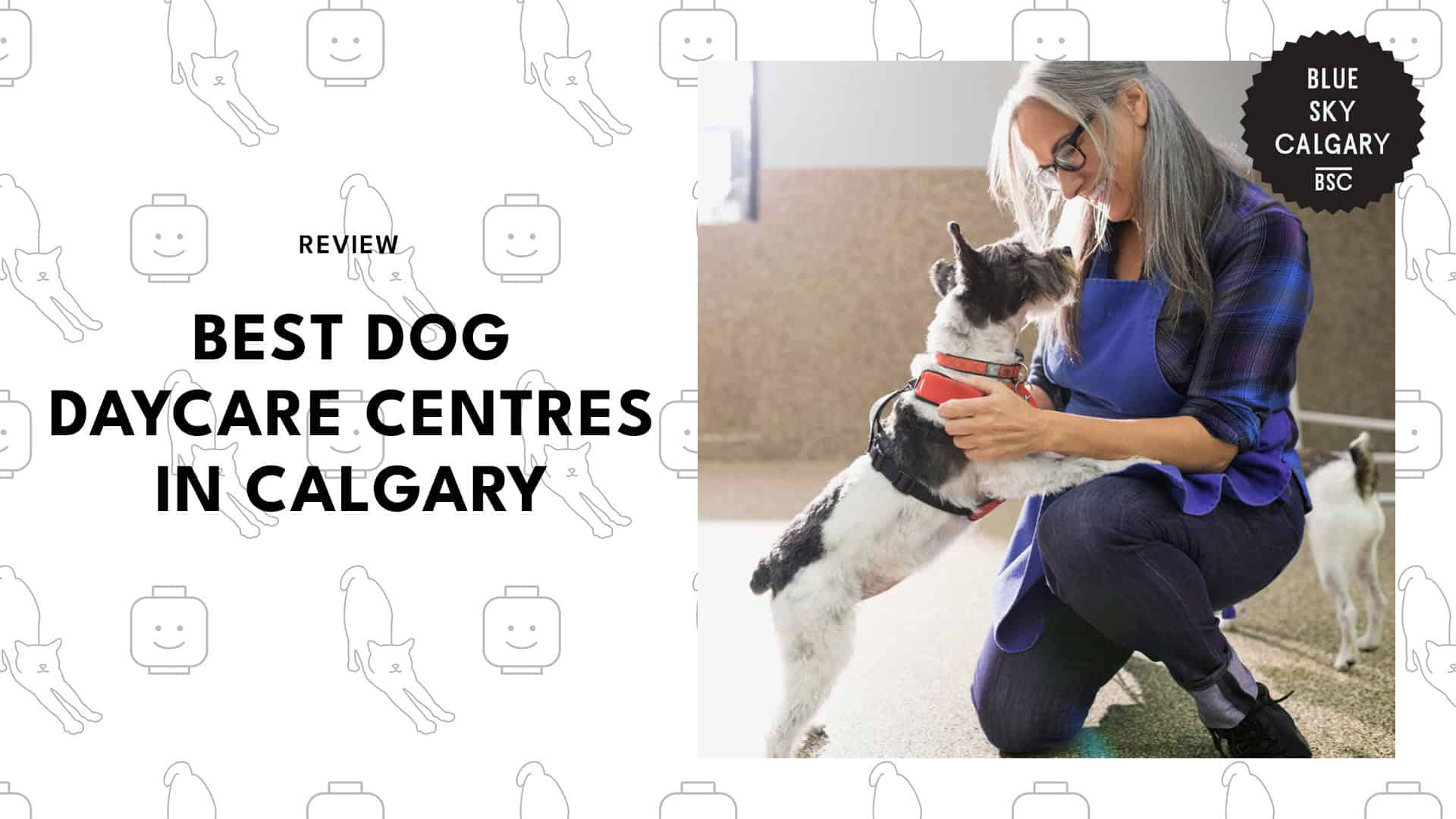 dog-daycare-centres-in-calgary