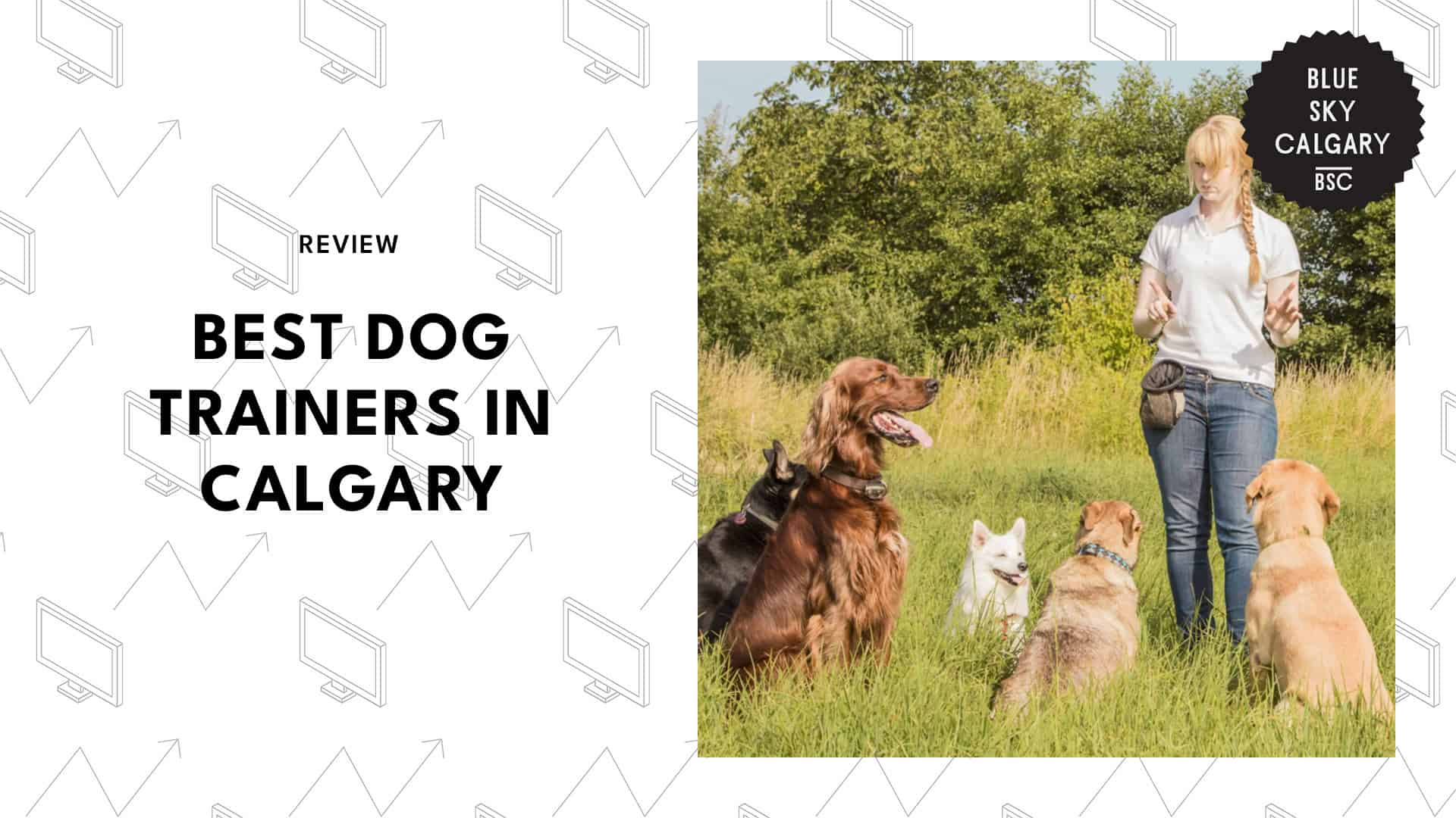 dog-trainers-calgary