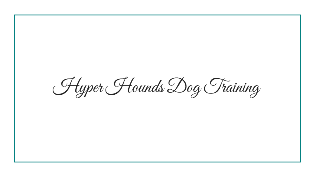 hyper-hounds-dog-training