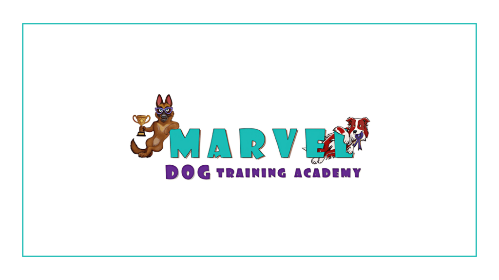 marvel-dog-training-academy