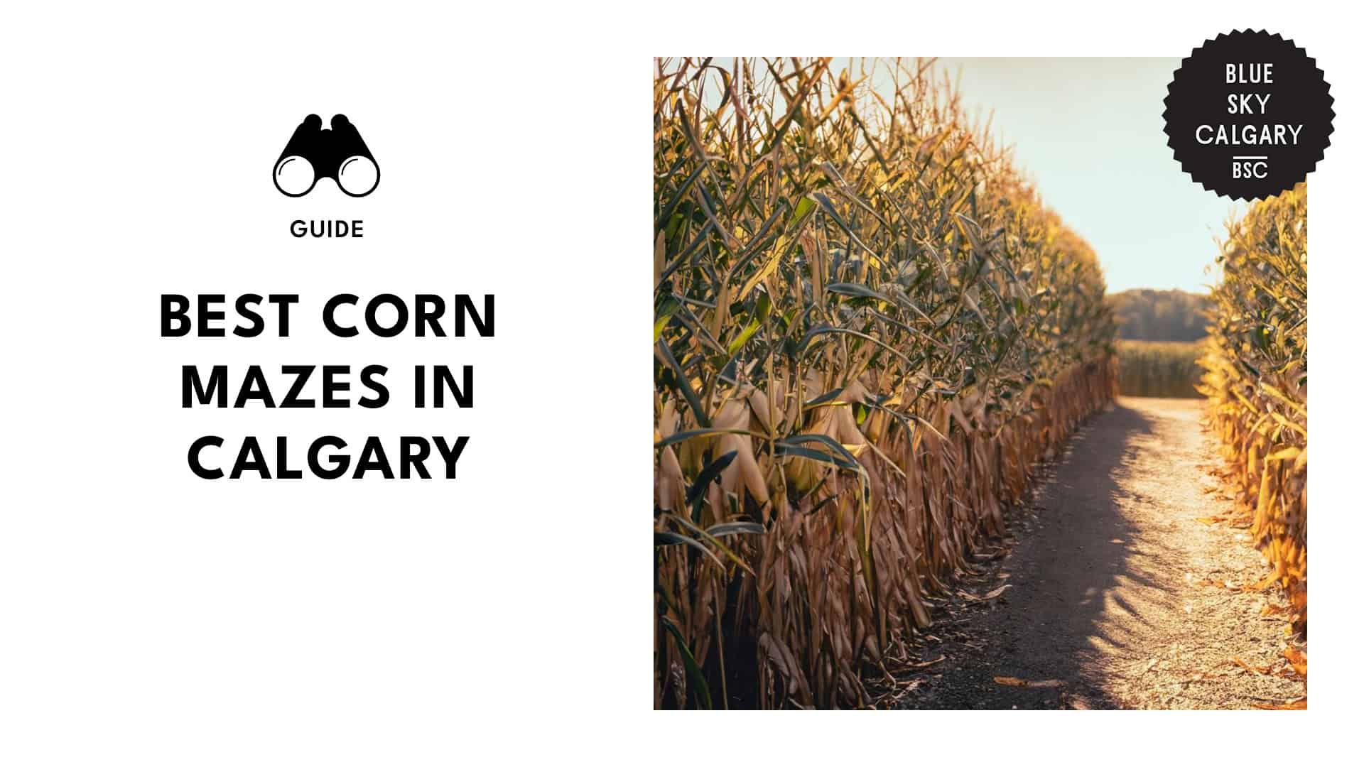 corn-mazes-in-calgary