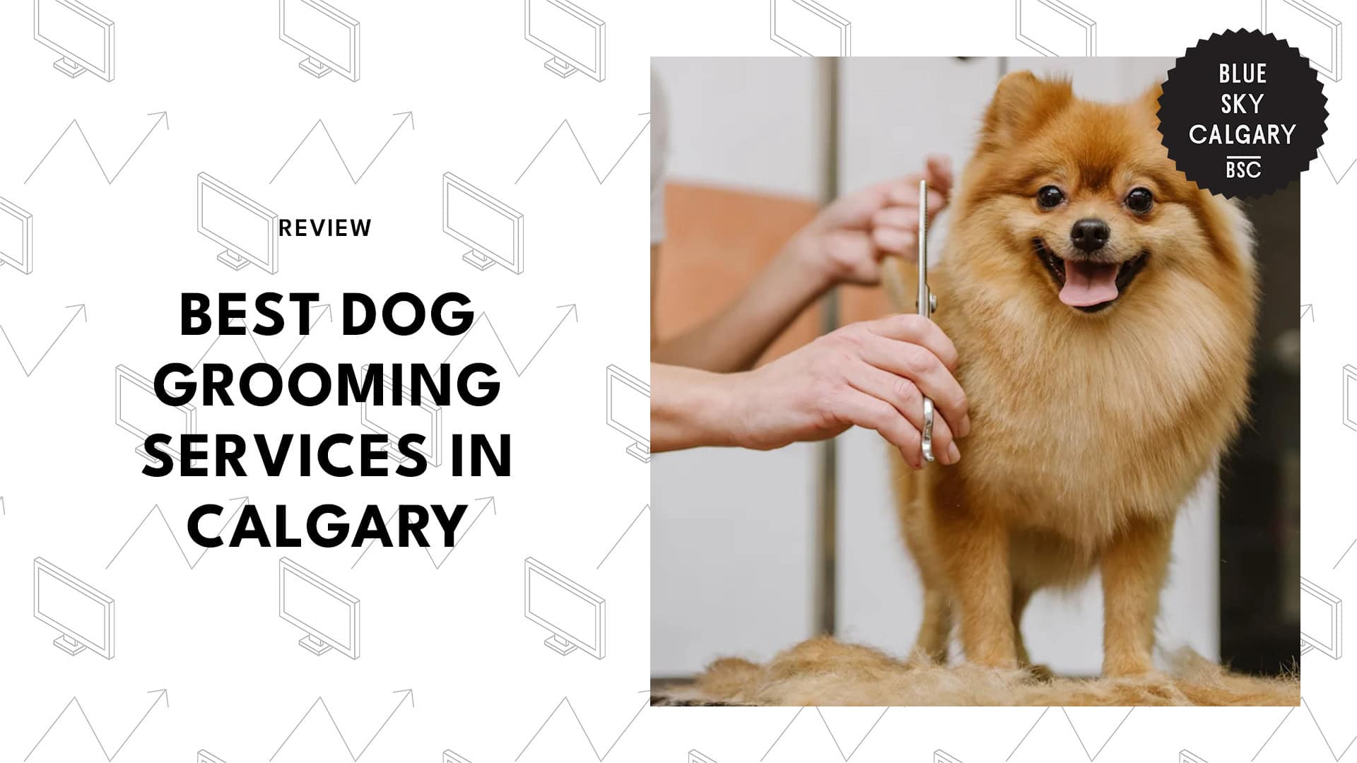 dog-groomers-calgary