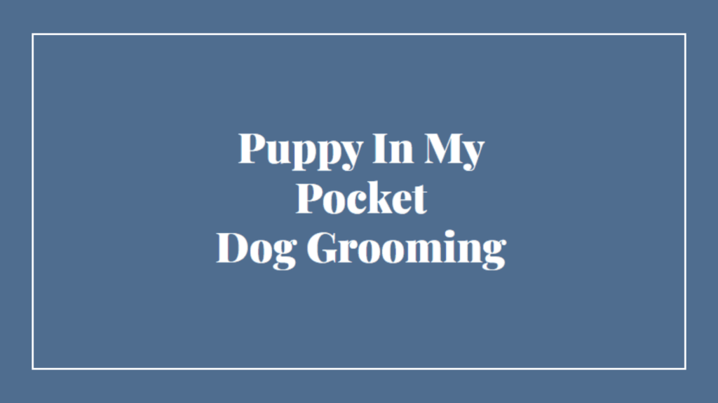 puppy-in-my-pocket-dog-grooming